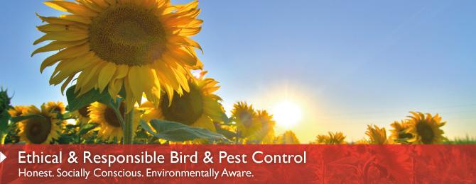 Ethical and Responsible Bird and Pest Control