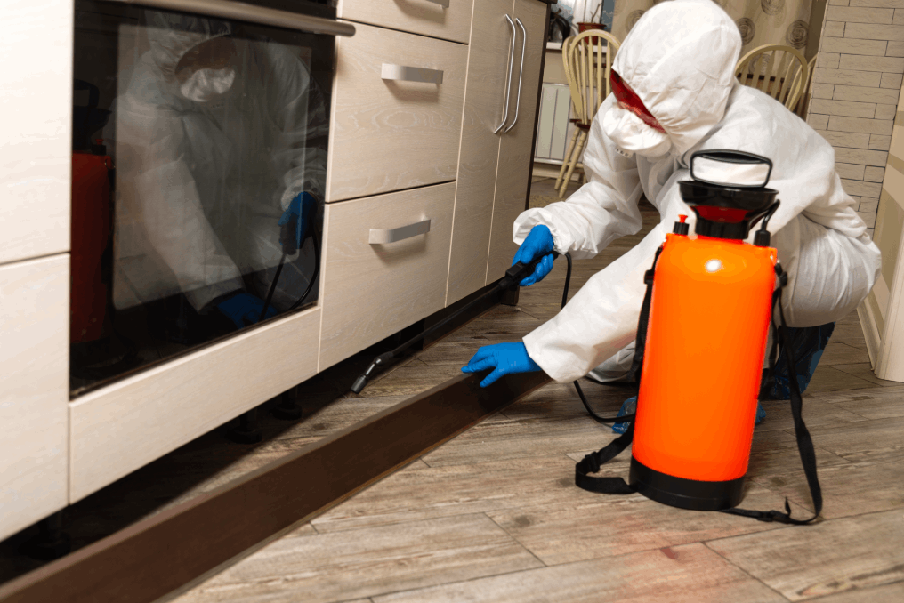 Why Pest Control Should Be Part of Every Landlords Maintenance Plan